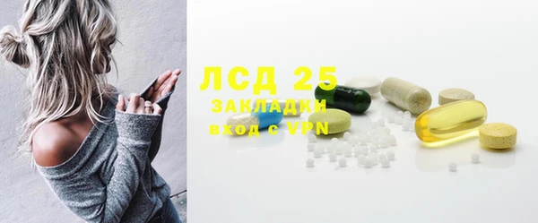 мдпв Новозыбков
