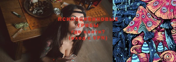 сатива Алзамай