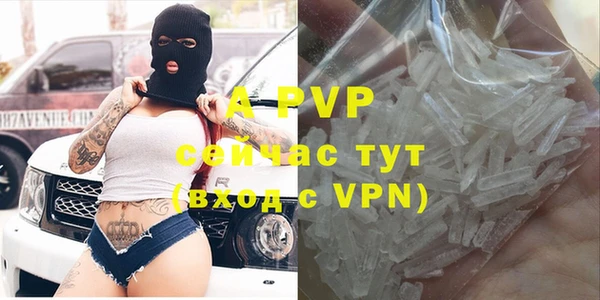 крисы Новокубанск