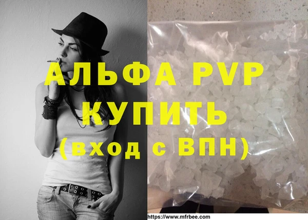 сатива Алзамай