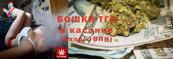 дмт Алексин