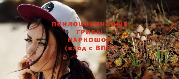 сатива Алзамай