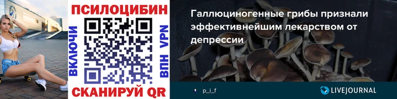 Галлюциногенные грибы GOLDEN TEACHER  Пущино 